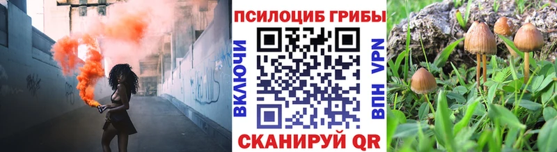 Псилоцибиновые грибы GOLDEN TEACHER  Анадырь 